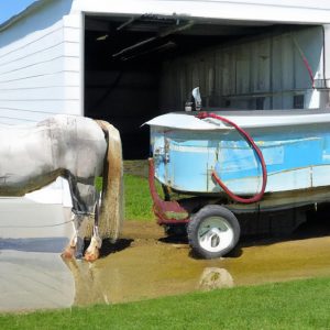Stranded horse rescued from backyard pool with help of tractor and harness