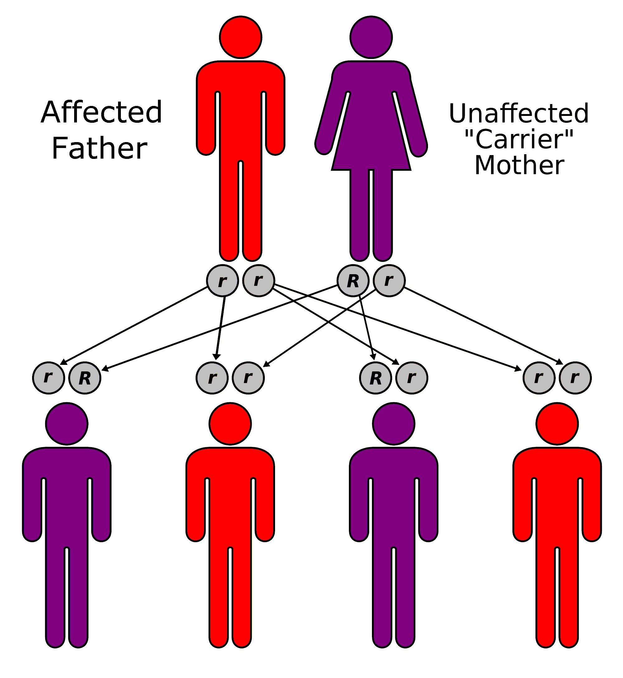 Mastering the Slayer Rule: A Guide to Inheritance